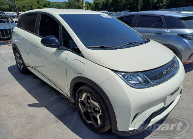 BYD DOLPHIN EV GS 70 KW 2024