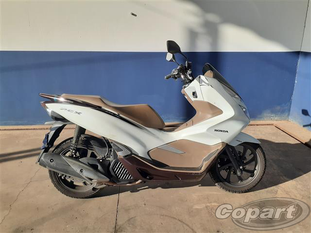 PCX DLS 2021