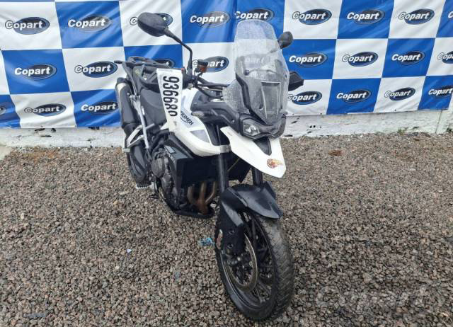TIGER 900 GT 2020