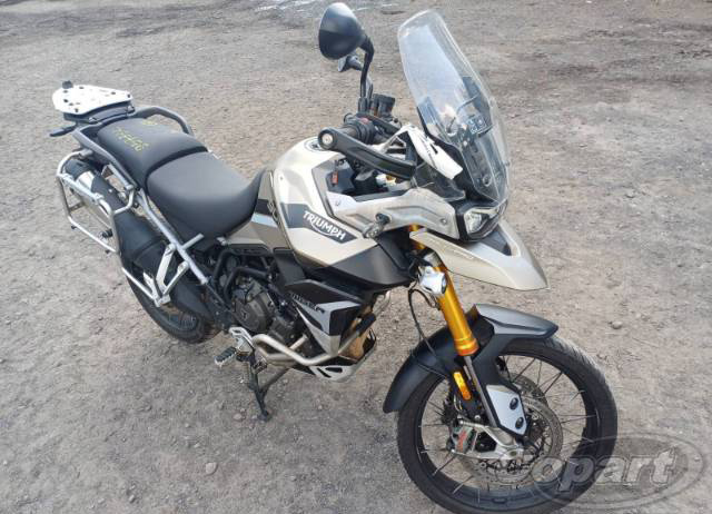 TIGER 900 RALLY PRO 2023