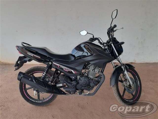 FACTOR 150 ED 2023